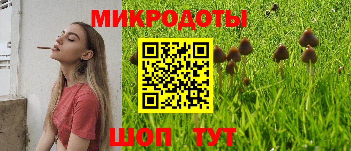 Галлюциногенные грибы Psilocybe  Псилоцибиновые грибы мухоморы  Вход с VPN  Камень-на-Оби 