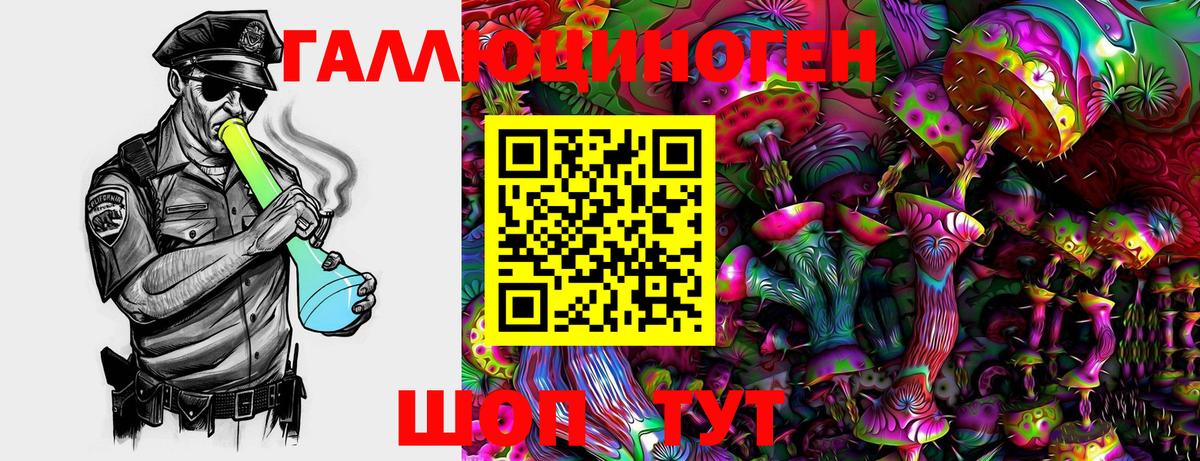 Галлюциногенные грибы Cubensis Камень-на-Оби